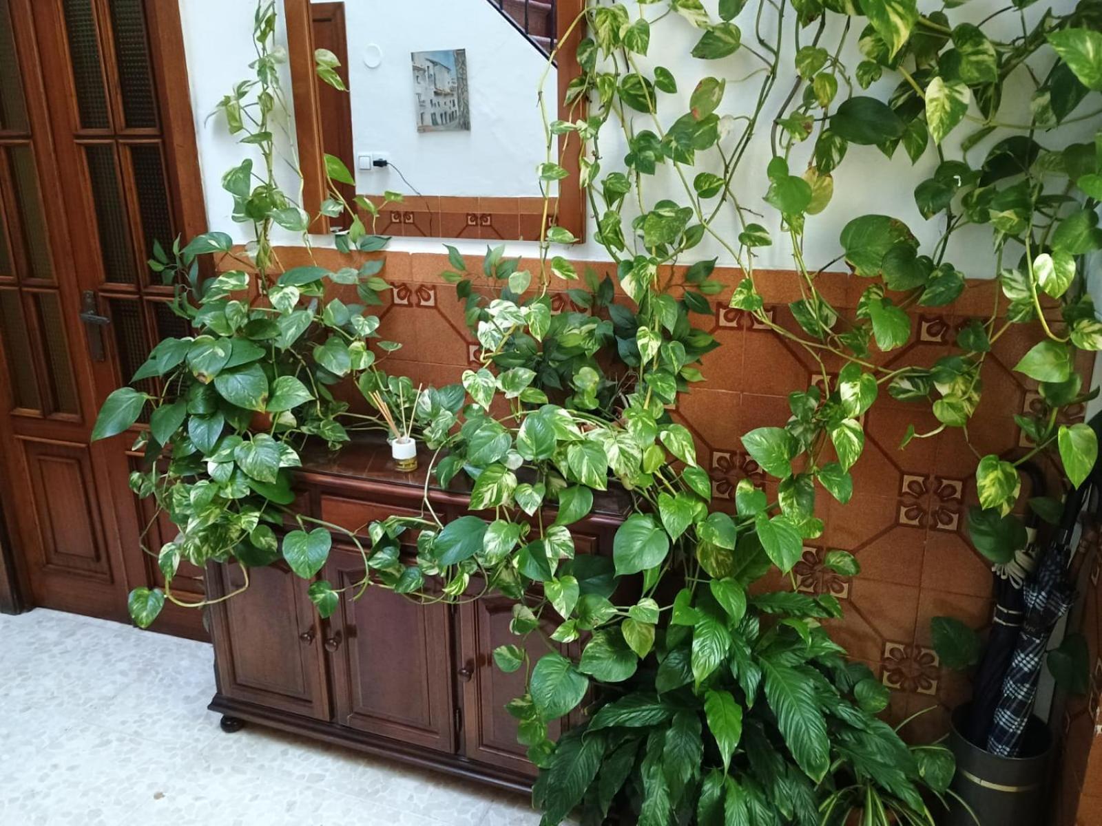 Casa Matbel Apartment Córdoba Exterior foto